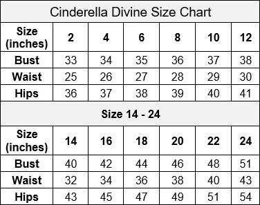 Glitter Print Ball Gown by Cinderella Divine CB068